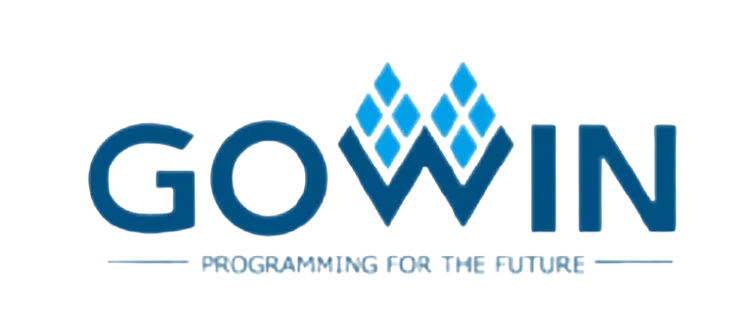 GOWIN FPGA Chip